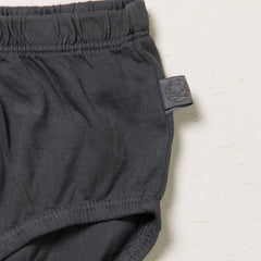 Women Hipster Panties – assorted- Plant Dyed – Anti Microbial / Anti Bacterial-Organic Cotton – full back Coverage -Mid-waist - Comfortable Underwear- Pack Of 2